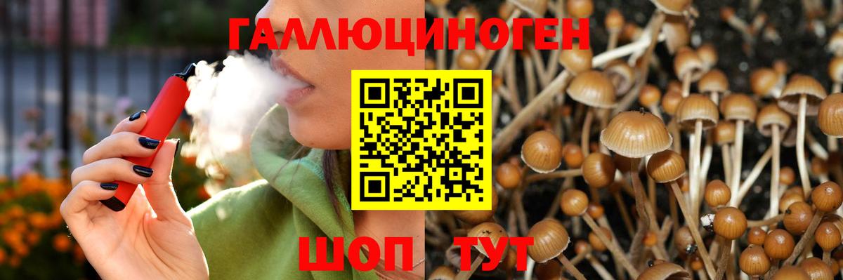 Галлюциногенные грибы ЛСД Добрянка